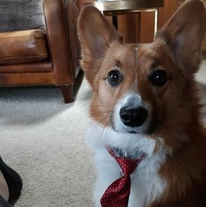 Meet your Posher, Camilla